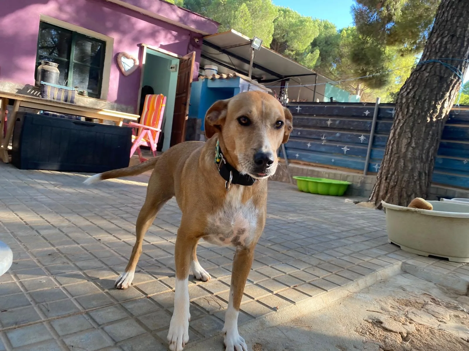 Foto van Casares